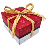 Advent calendar with Pokémon TCG (JP/EN) - Pokecard Store