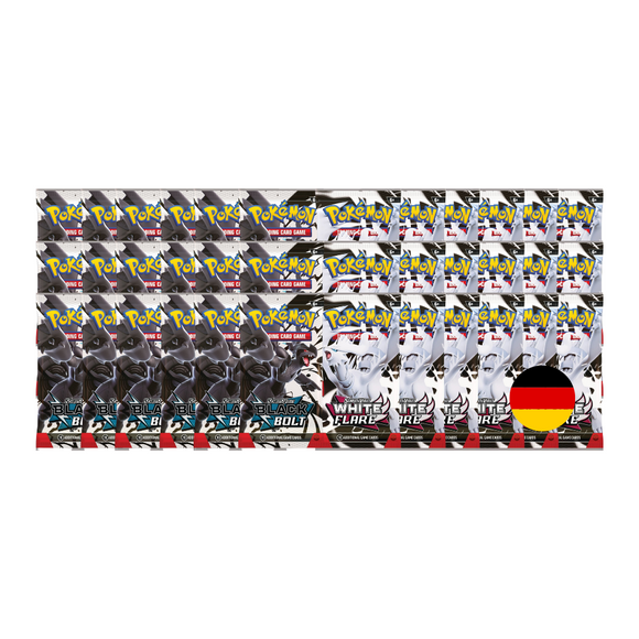 Pokémon Black Lightning & White Flames 