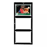 Ultra Pro 35PT UV Porte-cartes 3 cartes magnétique One Touch Black Border - Pokecard Store