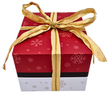 Adventskalender mit Pokémon TCG (JP/EN) - Pokecard Store